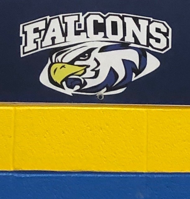 Falcons Close Up.jpg